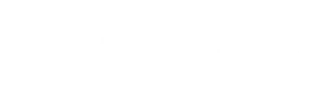 blowint logo