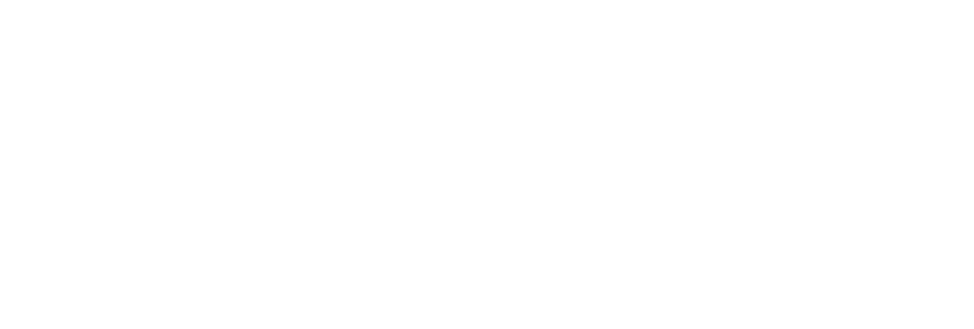 blowint logo